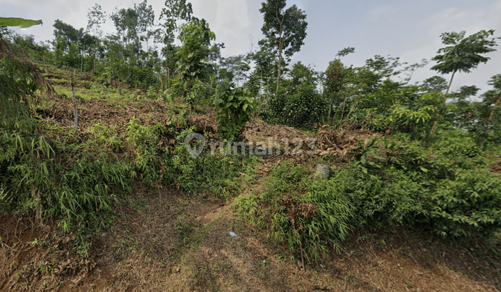 Tanah Cocok Untuk Cluster di Padalarang, Kbb 1