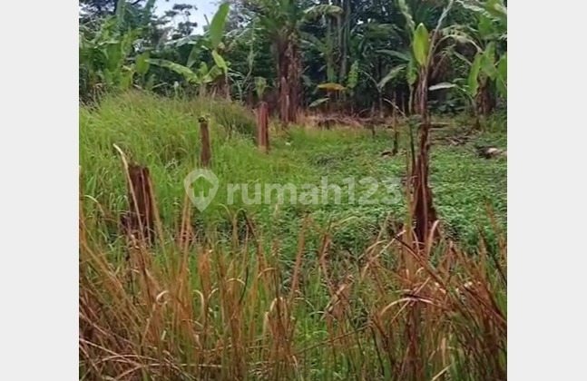 Tanah Luas Cocok untuk Gudang di Batujajar Tanah Luas Cocok untuk Gudang di Batujajar