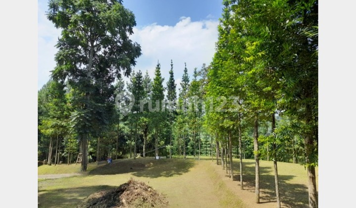 Tanah Luas Cocok Untuk Bisnis Wisata di Lembang