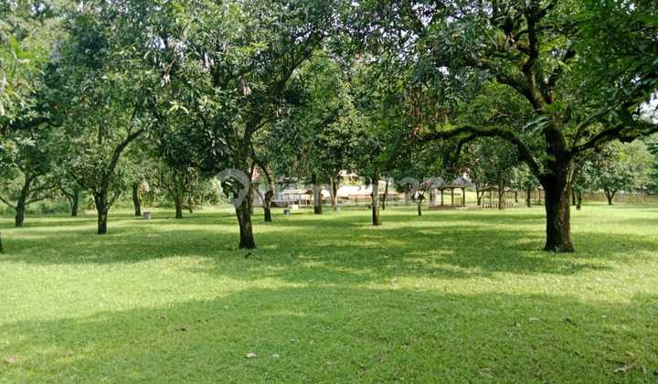 Tanah Luas dengan Berbagai Fasilitas di Majalengka Tanah Luas dengan Berbagai Fasilitas di Majalengka