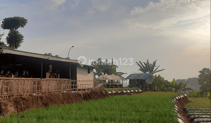 Tanah Luas View Bagus di Sukasari Bandung 2