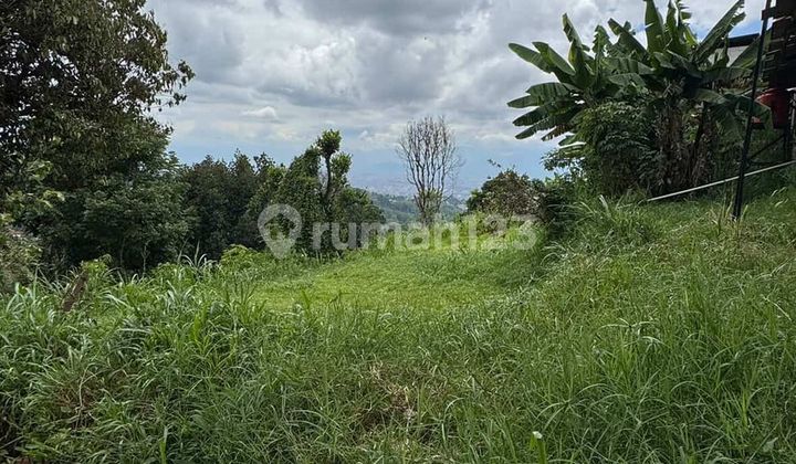 Tanah Luas Murah & Strategis di Punclut Lembang Bandung Tanah Luas Murah & Strategis di Punclut Lembang Bandung