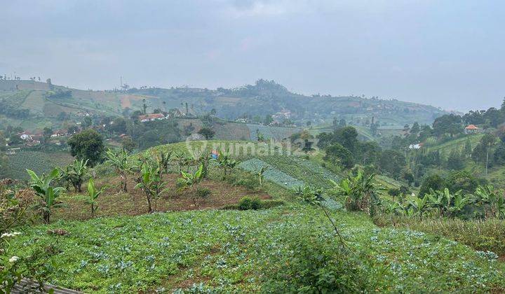 Dijual Tanah Luas Lokasi Sejuk di Bukit Pakar Bandung Utara  1