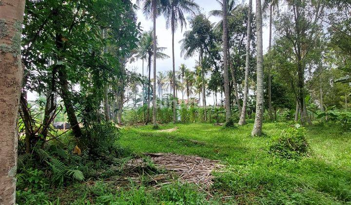 Tanah SHM Dibawah Pasaran Lokasi Strategis Dikawasan Pasteur 1