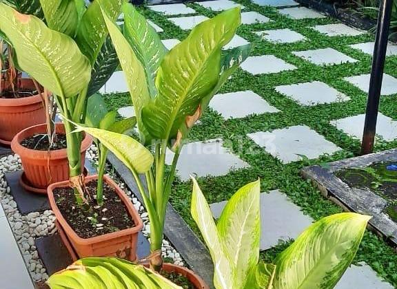 Rumah 2 Lantai Siap Huni di Ujungberung Bandung – Cocok untuk Hunian Keluarga Besar atau Rumah Kost! 2