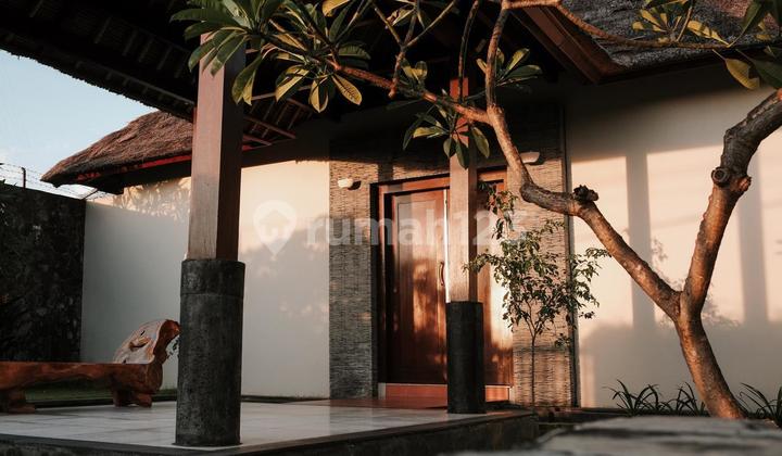 Villa with a Running Business in a Premium Location Kuta Bali