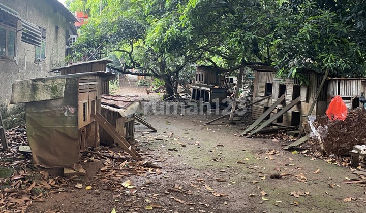 Strategic plot at low price on Jl. Raya Muchtar, Depok RM 481. Strategic plot at low price on Jl. Raya Muchtar, Depok RM 481.