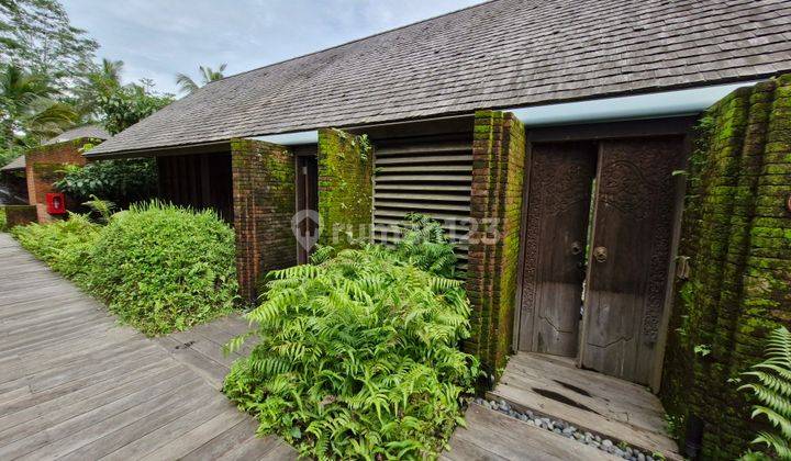 Rumah Villa 2 Lantai Baru Furnished Jungle View di Ubud 2