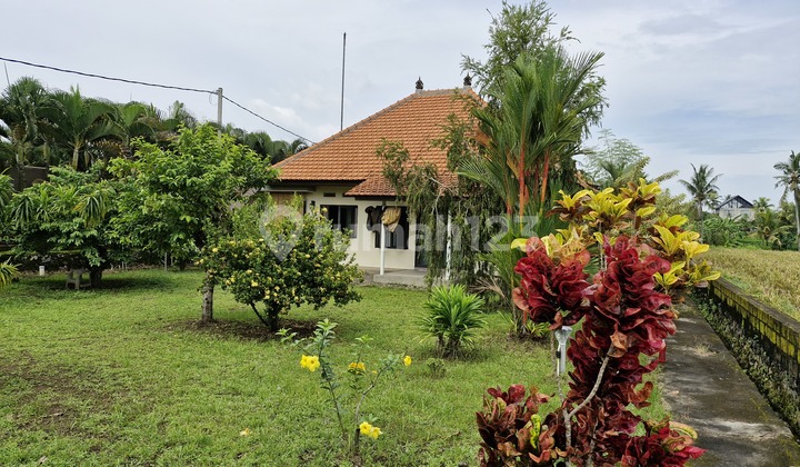 Villa, Leasehold, Private Swimming Pool available in Ubud.