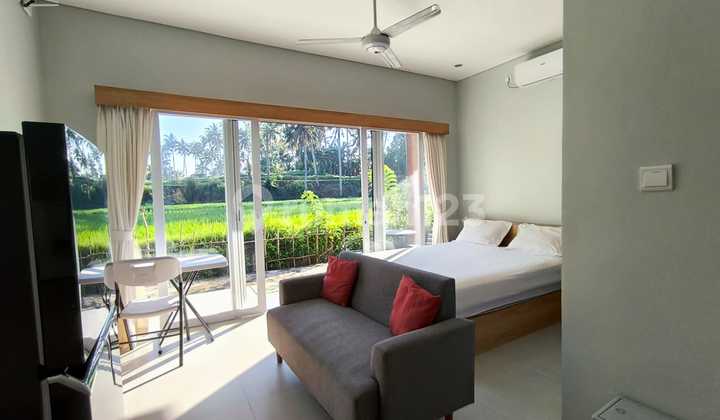 Beautiful Apartment Minimalis One Bedroom With Rice View At Ubud  1