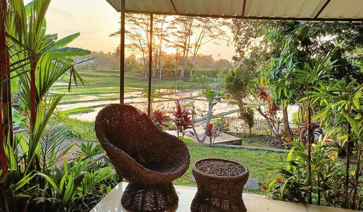 2 Bedroom Beautiful Vila For Rent Rice Field View At Ubud  1