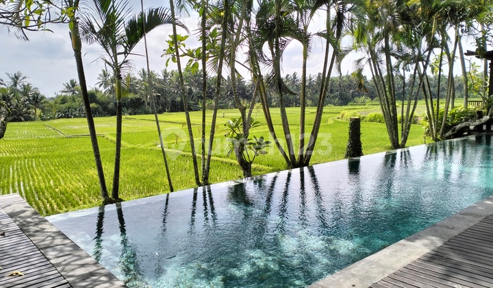 For rent two bed room vila with rice view in Ubud 1