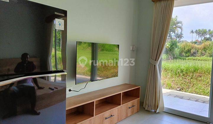 Vila modern minimalis one  bedroom with rice field view di Ubud   2