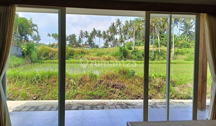 Vila modern minimalis one  bedroom with rice field view di Ubud   1