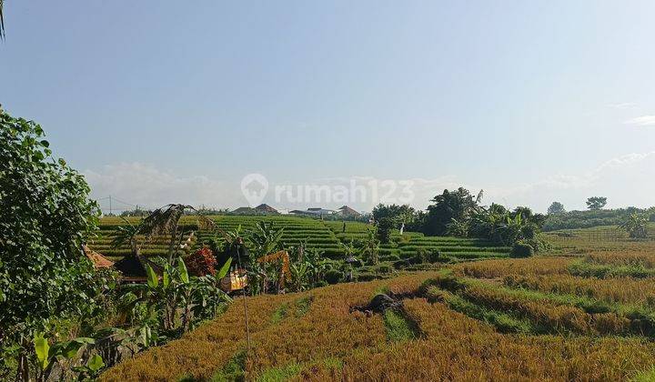 Tanah Langka View Sawah Dan Jungle Ubud Vibes Tumbak Bayuh Canggu 2