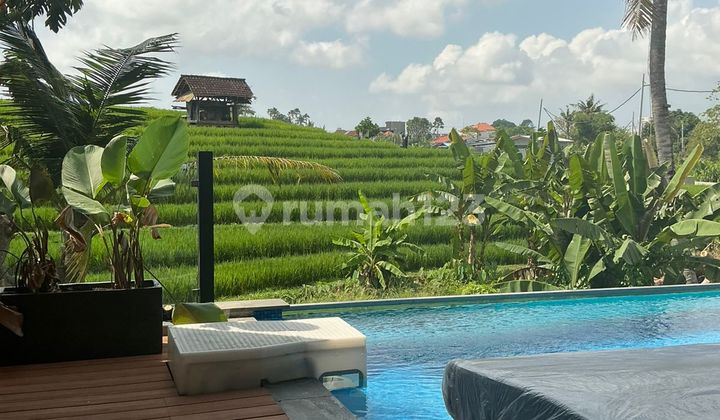 Luxury Vila Complex 3 Bedroom With Rice Field View At Canggu