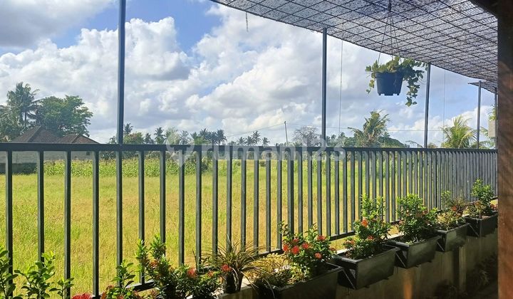 Spacious Beautiful 2 Bedroom House For Rent In Nyambu Near Canggu Spacious Beautiful 2 Bedroom House For Rent In Nyambu Near Canggu