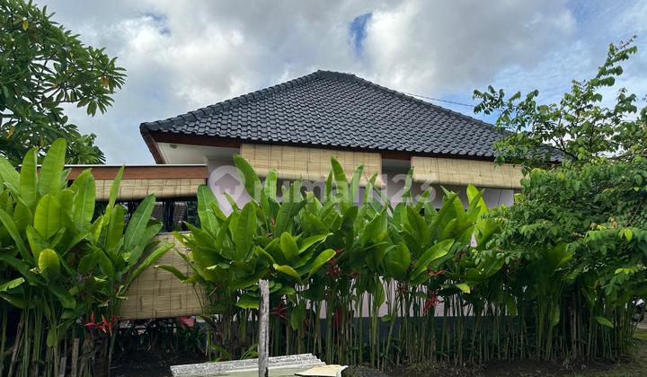 New Simple House 1 Bedroom Yearly Rent Denpasar Utara