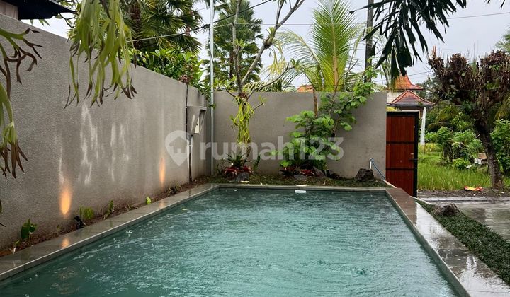 2 Bedroom New Villa For Rent With Bathtub Rice Field View Ubud