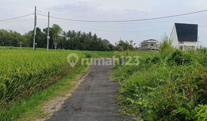 Land 250M2 Ready to Build in Kedungu Beach Tourism Zone, Tabanan
