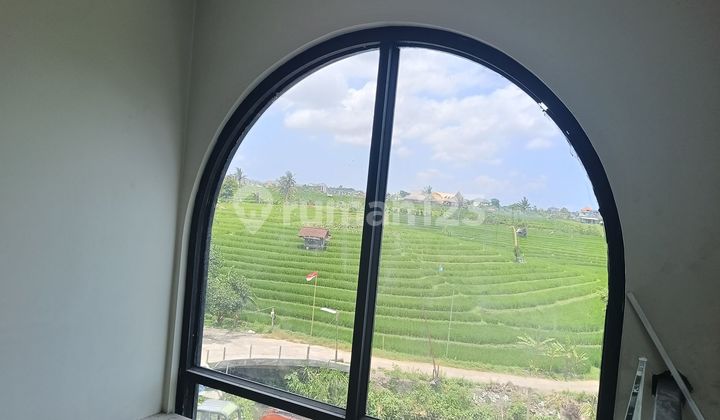 Vila Complex Rice Field View  Strategic Location At Canggu 2