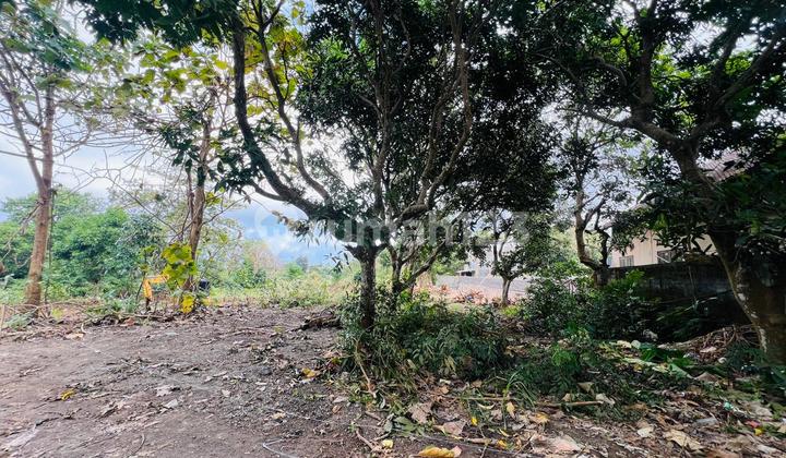 Tanah Luas 418m2 Zona Kuning Di Lokasi Premium Uluwatu Tanah Luas 418m2 Zona Kuning Di Lokasi Premium Uluwatu