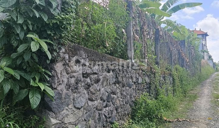 Ready-to-Build Land 200M2 Near Kemenuh Tourist Attraction, Gianyar Ready-to-Build Land 200M2 Near Kemenuh Tourist Attraction, Gianyar