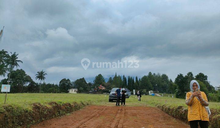 Promo Tanah 99 JT dapat 100 meter dimegamendung Bogor 4