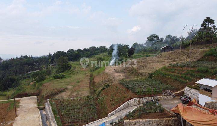 Jual Tanah Pinggir Jalan Kabupaten Cisarua Ciawi 4