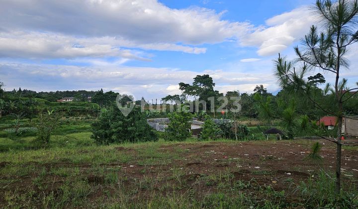 Dijual Tanah Milik SHM di Cisarua Puncak Bogor