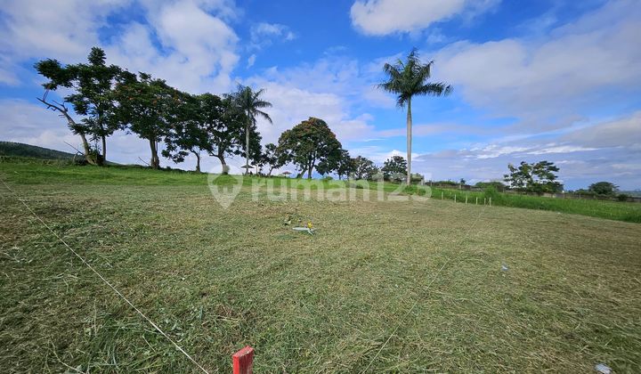 Sell Land 700M2 Near Jl Raya Utama Puncak Megamendung