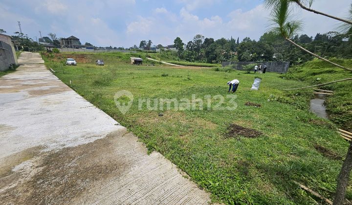 Tanah Dijual Greend Mountville Megamendung Puncak Bogor Tanah Dijual Greend Mountville Megamendung Puncak Bogor