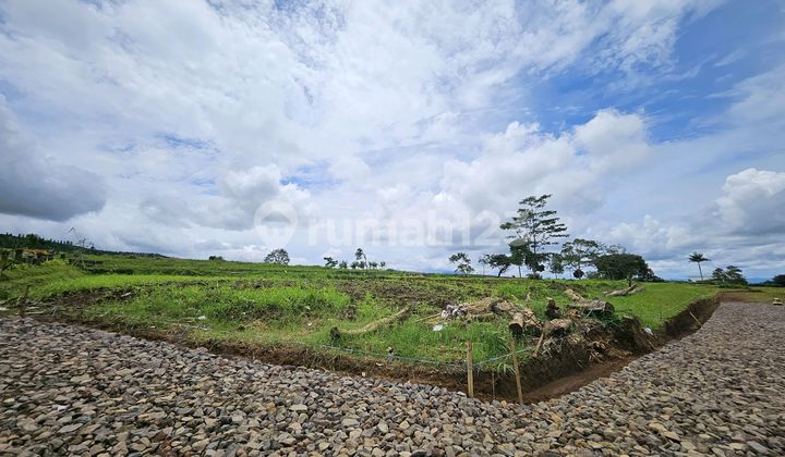 Cheap Land for Sale Near Jl Raya Utama Puncak Cheap Land for Sale Near Jl Raya Utama Puncak