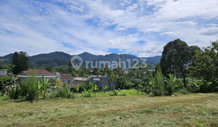 Sell Land Near Jl Raya Cisarua Puncak Close to Grand Peak Hotel Sell Land Near Jl Raya Cisarua Puncak Close to Grand Peak Hotel