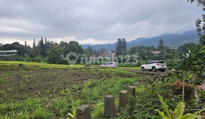 Land Plot Position Hook Area 1000M2 Near Main Road Puncak Land Plot Position Hook Area 1000M2 Near Main Road Puncak