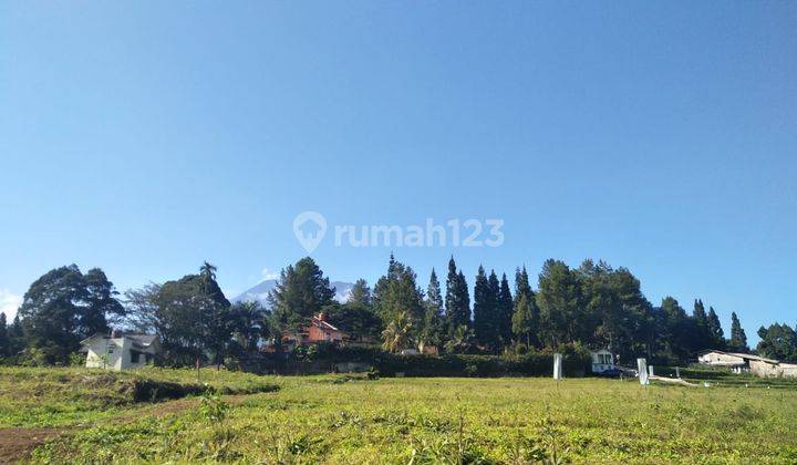 Tanah dijual di Jln alternatif  taman safari Cisarua puncak 2