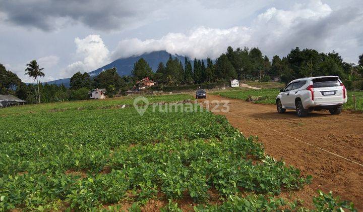  Jual Tanah SHM Siap Bangun di Megamendung Puncak Cisarua Bogor 2