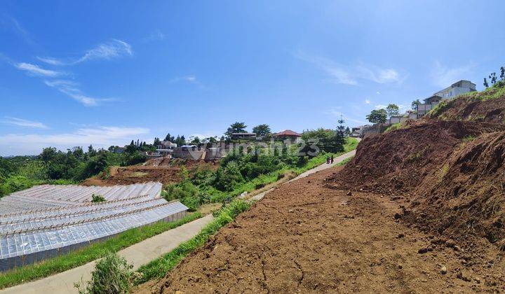 DIJUAL tanah di jln alternatif gadog megamendung puncak 6