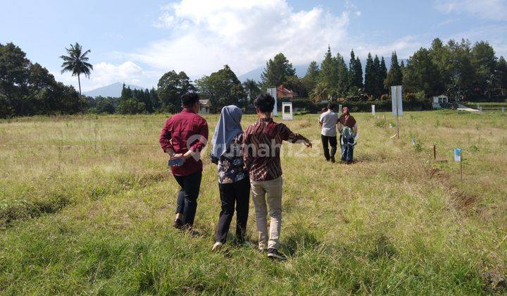 Tanah dijual di Jln alternatif  taman safari Cisarua puncak 1