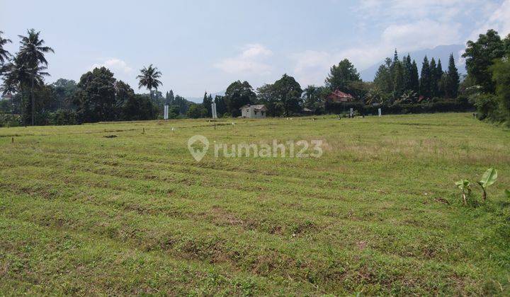 Jual Tanah datar dekat area wisata puncak  megamendung bogor 1