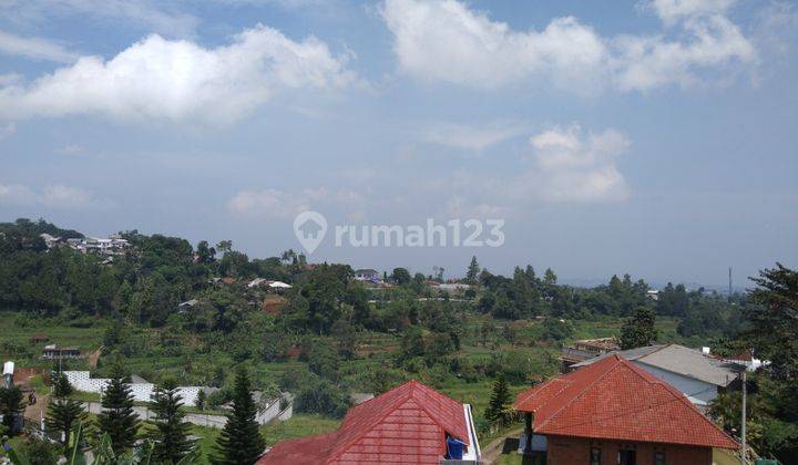 Tanah Murah Shm Dijual Di Jln Alternatif Taman Safari Megamendung 2