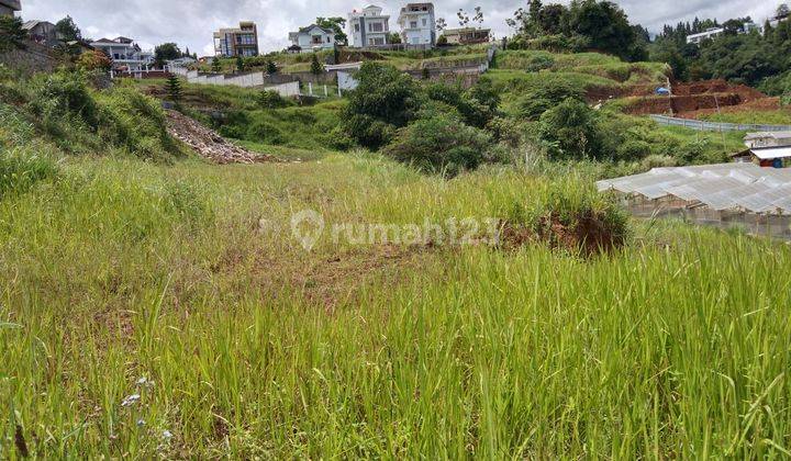 Tanah murah SHM dijual di jln alternatif taman safari megamendung 2