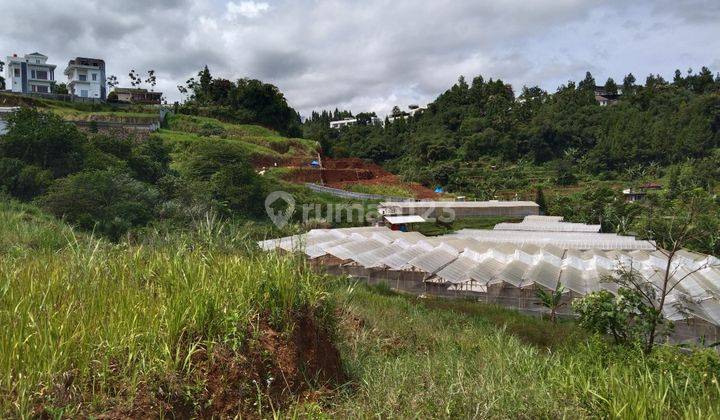 Tanah Lembah di Megamendung puncak bogor Jawa barat 2