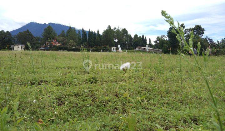 Tanah Milik Dijual Di Jln,cikopo Selatan Megamendung Dekat Jsi  2