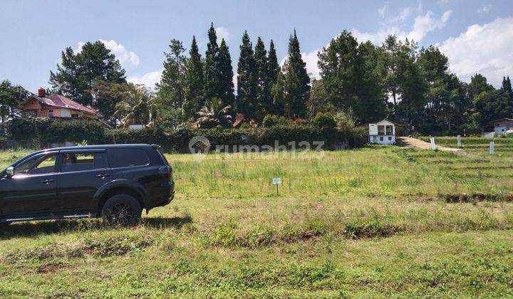 Tanah dijual 500m² di jln munjul pasirmuncang megamendung puncak 1