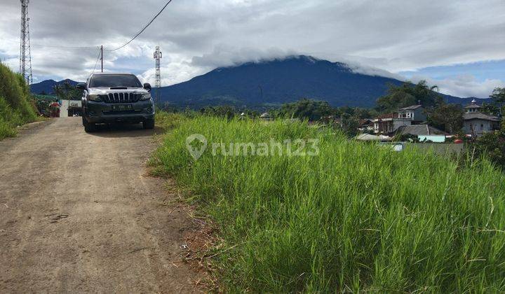 Jual Tanah Milik Shm Pinggir Jln 1500m²  Di Puncak Cisarua   2