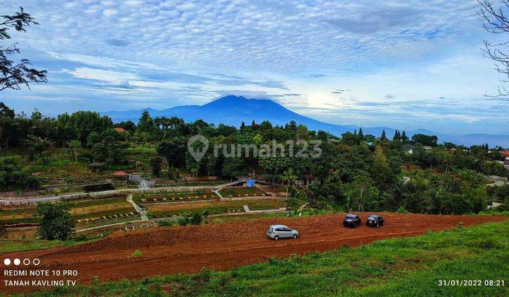 Jual Tanah Kebun Shm Di Cisarua Megamendung Puncak 1