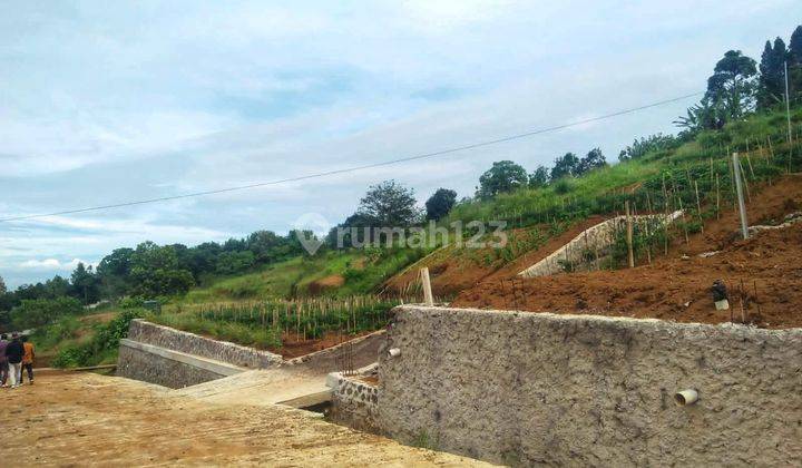 Jual Tanah Kebun Shm Di Cisarua Megamendung Puncak 2