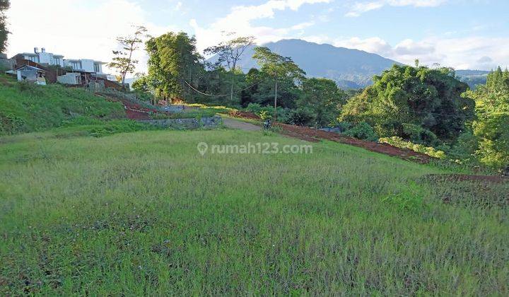 Jual tanah murah 3000m² area wisata Megamendung puncak 1