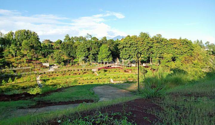 Jual tanah murah 3000m² area wisata Megamendung puncak 2